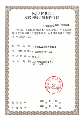互聯(lián)網(wǎng)域名注冊服務(wù)的資質(zhì)與榮譽之路
